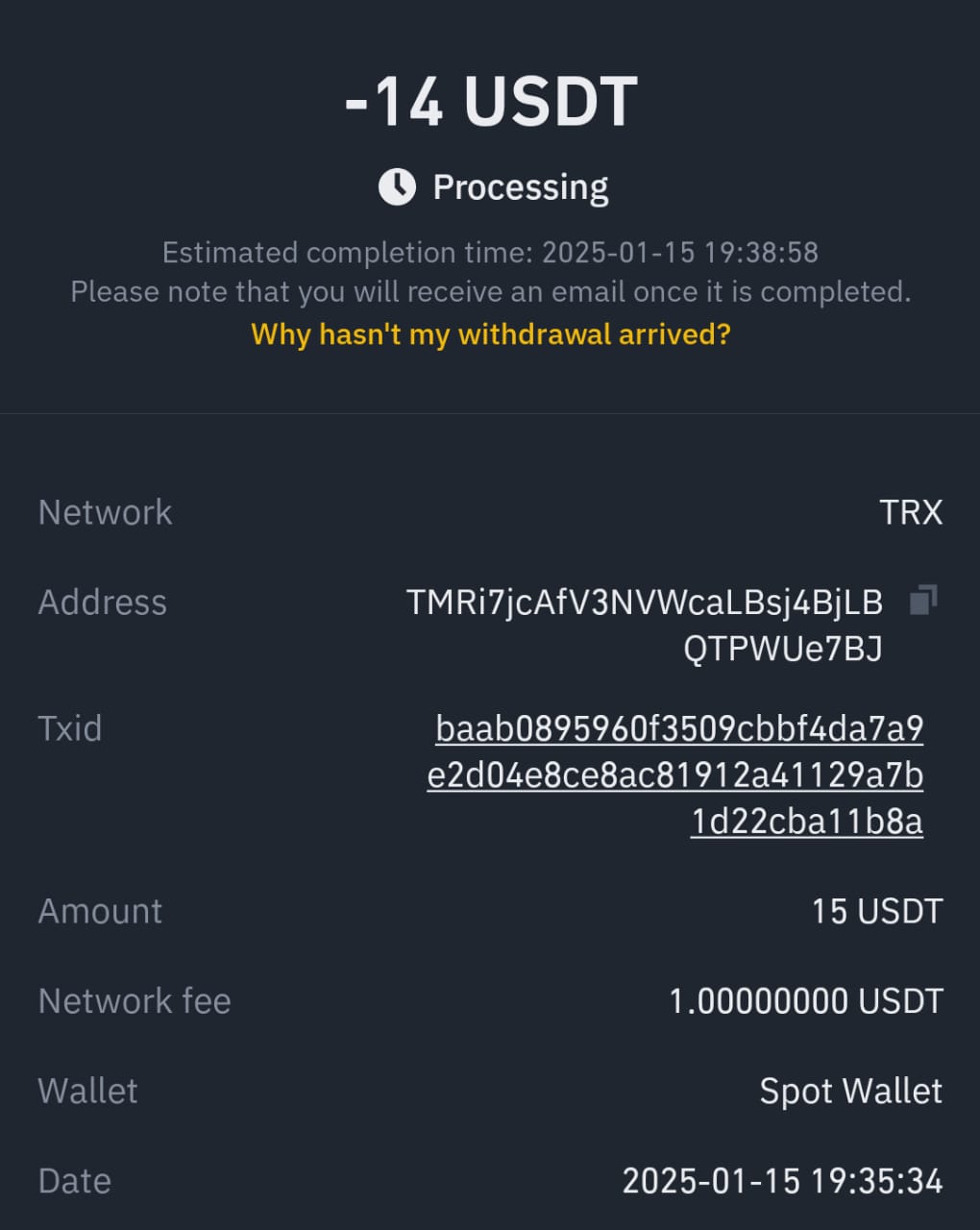 1740462256809