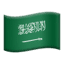 🇸🇦