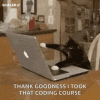 Work Coding GIF by Scaler