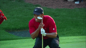 Tiger Woods Win GIF của The Masters