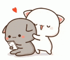 Mèo Yêu GIF bởi NGcorpvtc