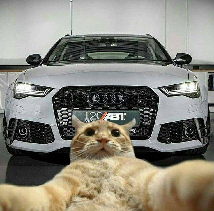 Audi Rs5