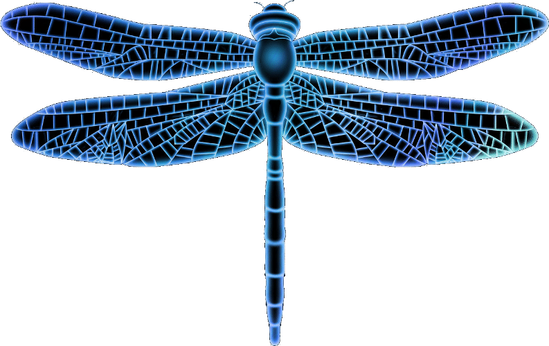 Cicada