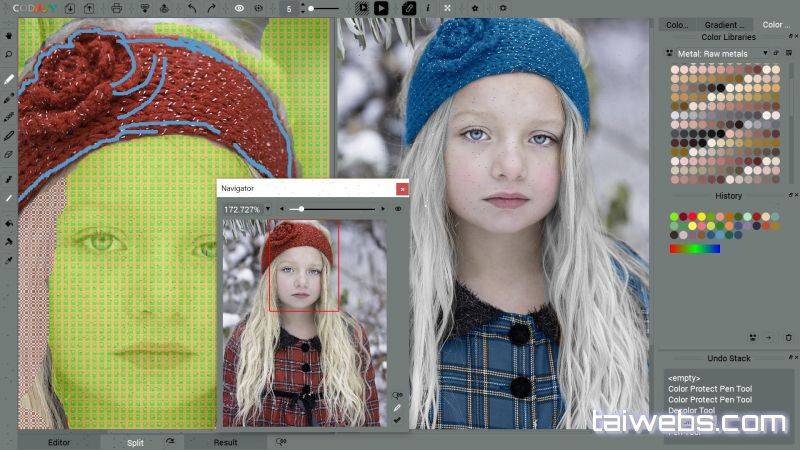 Codijy colorizer pro 1