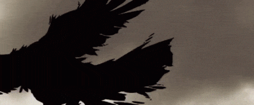 Crow