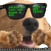 Hackerman2