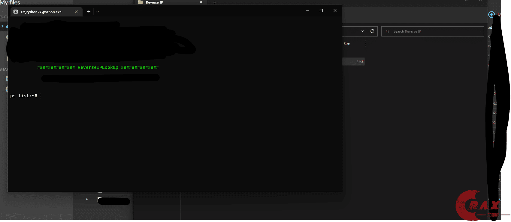 Reverse IP
