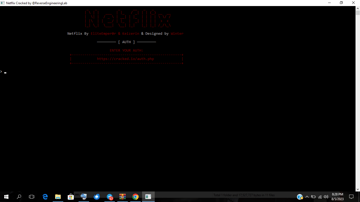 Screenshot 13