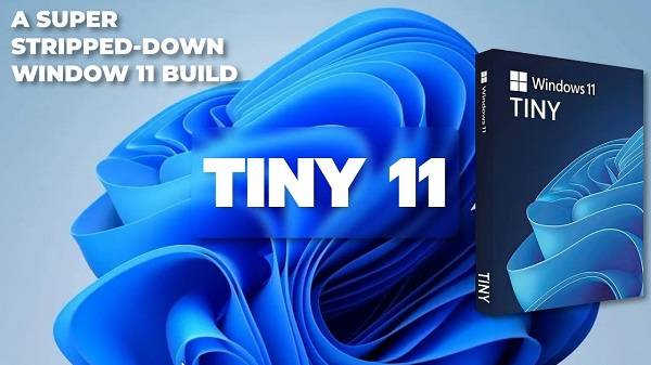 Tiny11