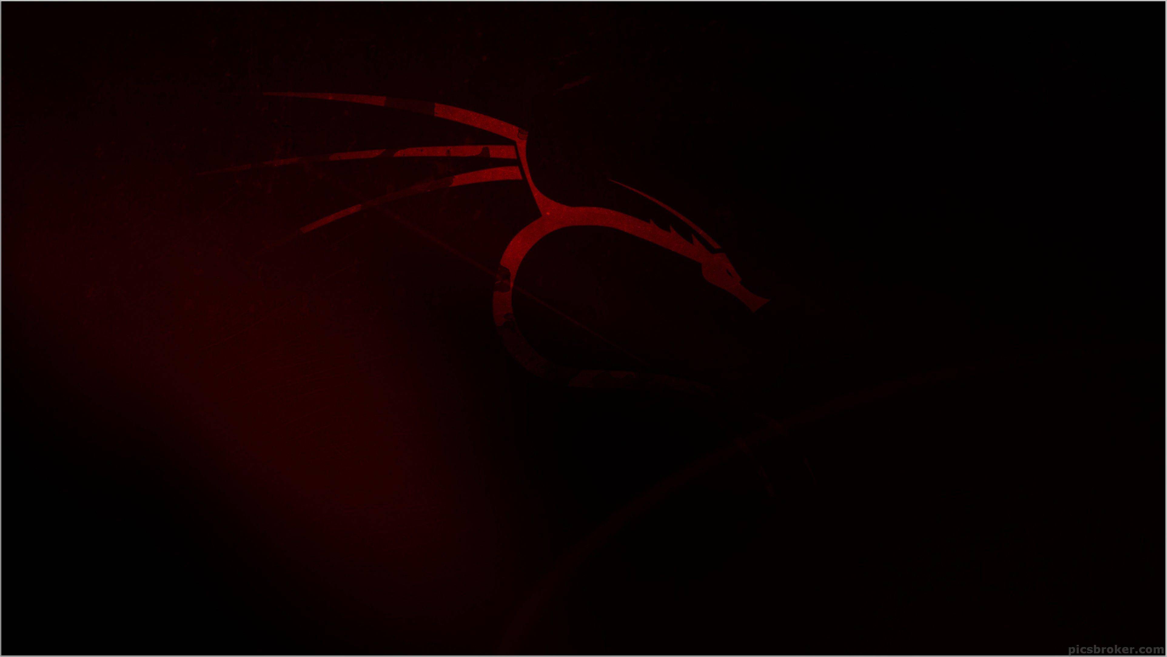 Wp3012450 backtrack 5 wallpaper