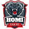 homiawan0