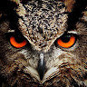 hackxpro