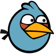 sayeedku