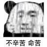 jingxie