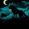 pawqai