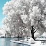 simofes_1