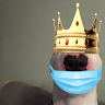 arcadie69