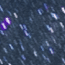 49494454