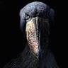 azerty9