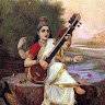 ashwani28197