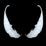 blackx25