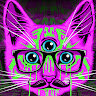 FelineG89