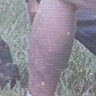 john19931204