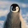 LePinpin