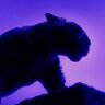 BlackPantherDb