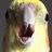 BananaCC