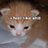 GoingGeek