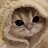 YEahTradeMelikechees