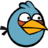 saasasa