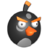 Oli
