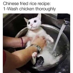 images (3).jpeg