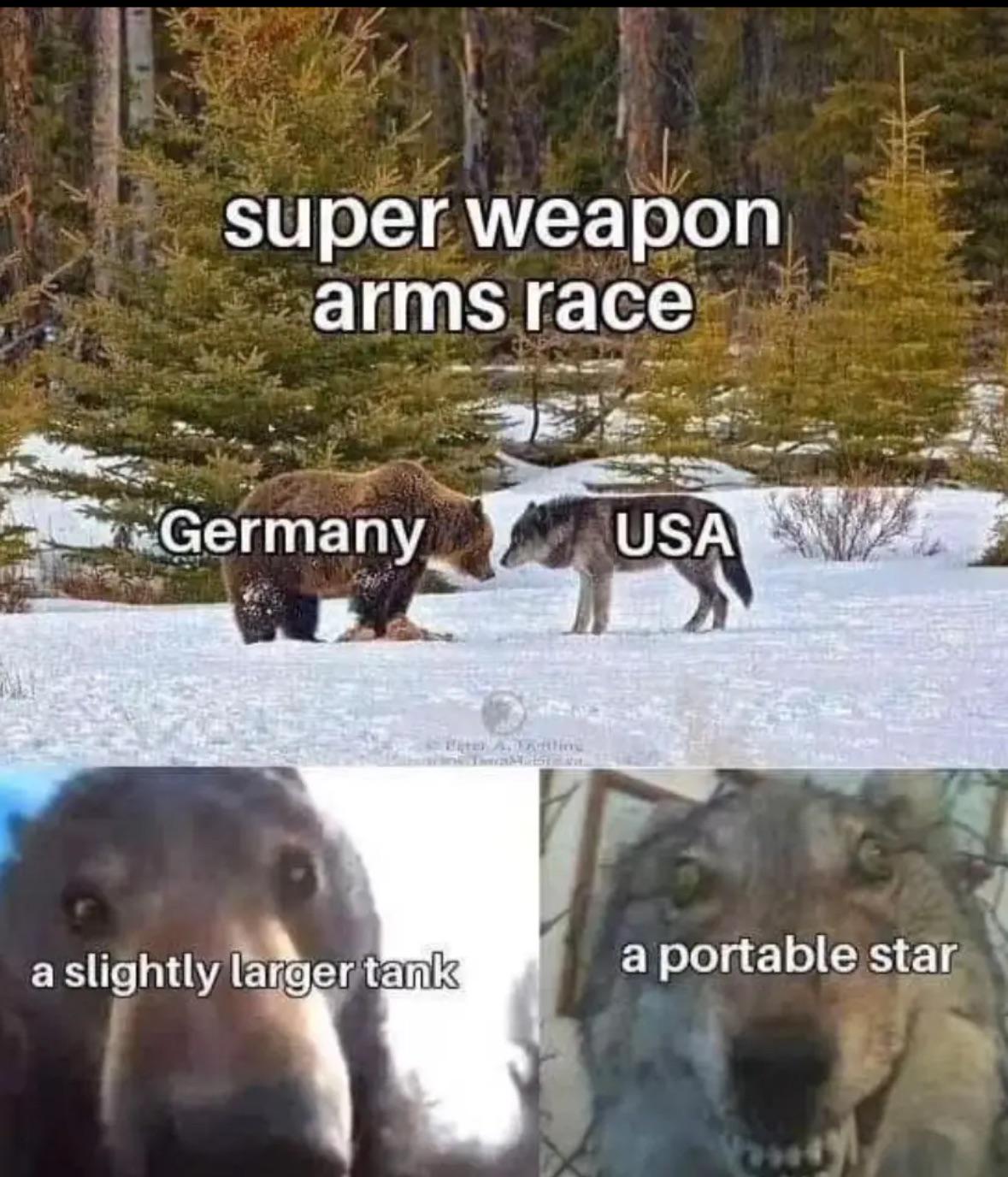 1vgwwr8678ef1.jpeg