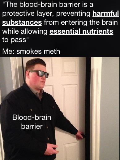 2eii7i8hg2ff1.jpeg