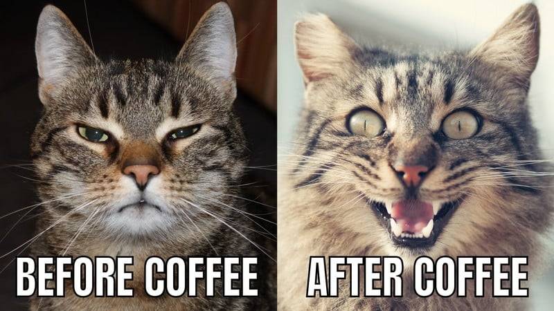 Coffie.jpg
