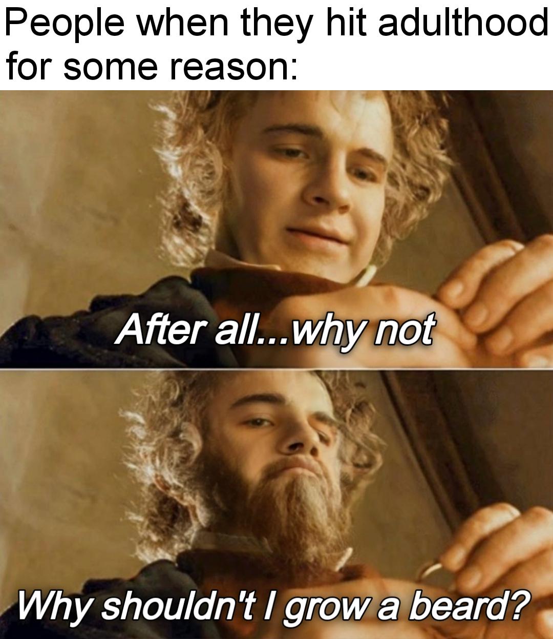 em4xc1w978ef1.jpeg