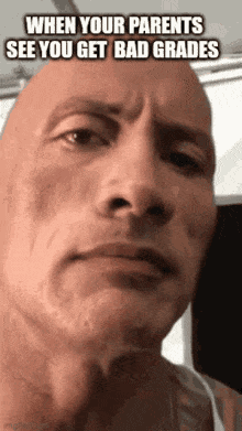 funny-memes.gif