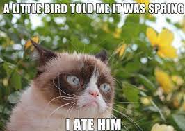 HAHAHAHA
