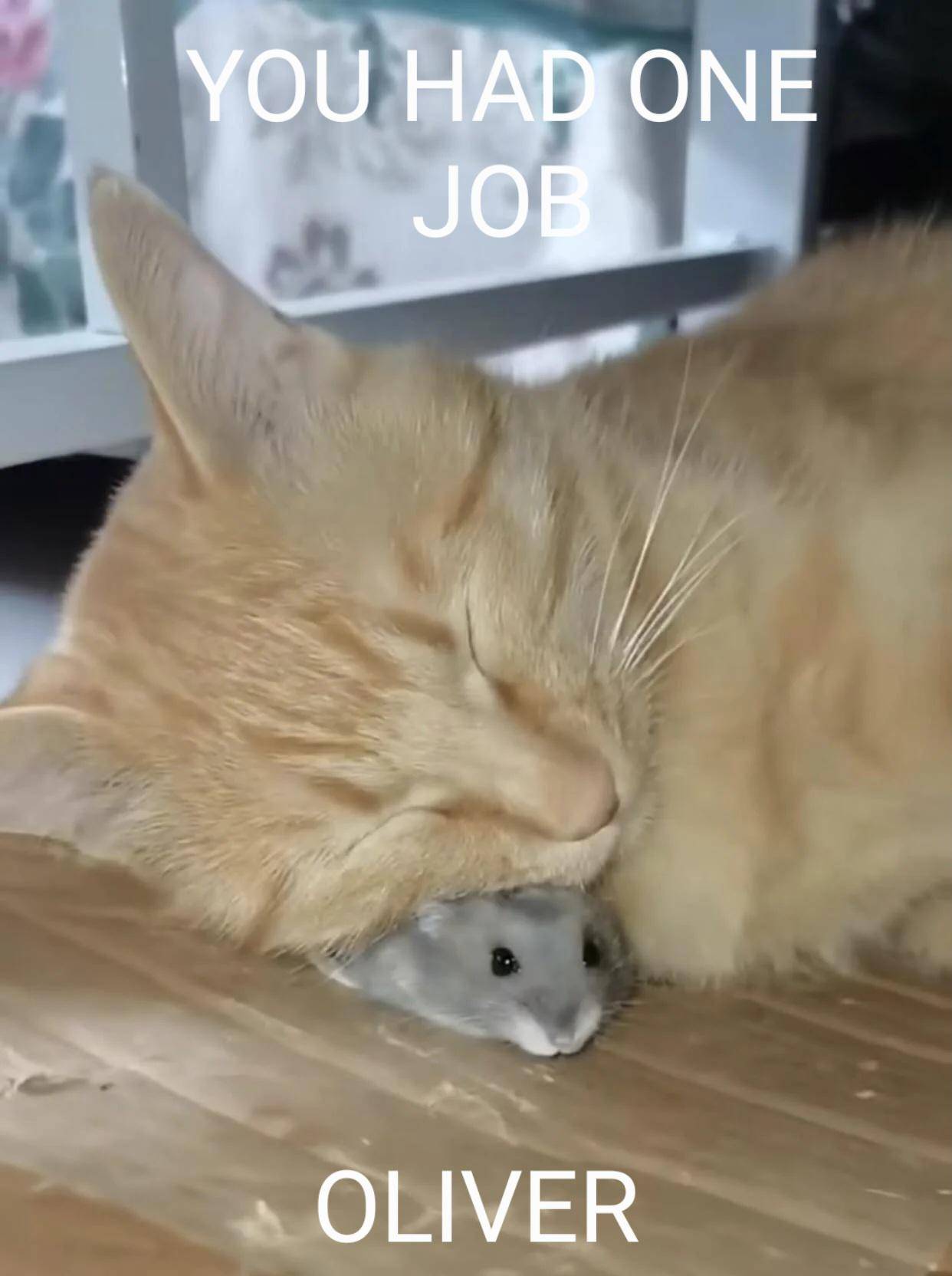 He had one job