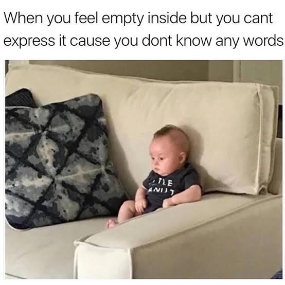 images (10).jpeg