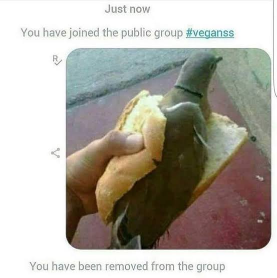 images (29).jpeg