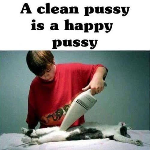 images (32).jpeg