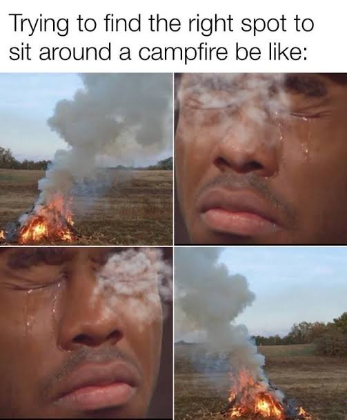 images (39).jpeg