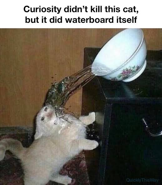 images (4).jpeg