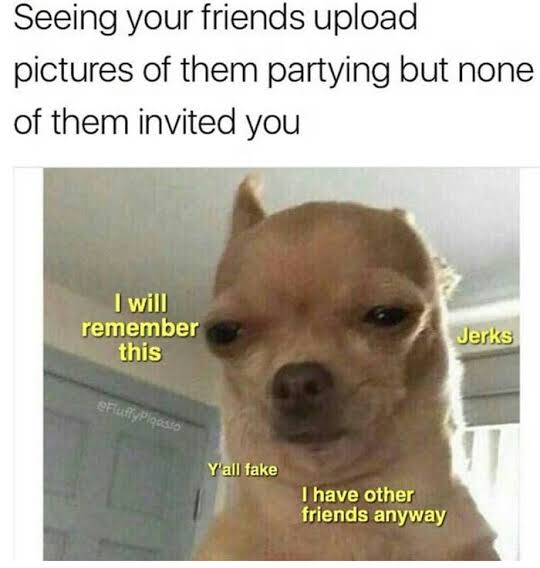 images (9).jpeg