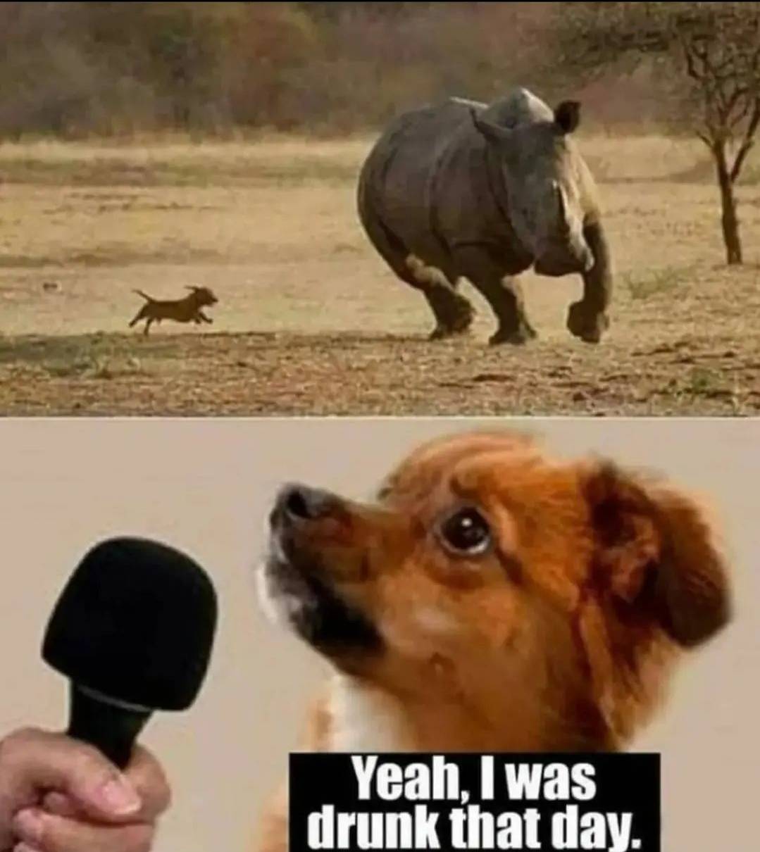 lol