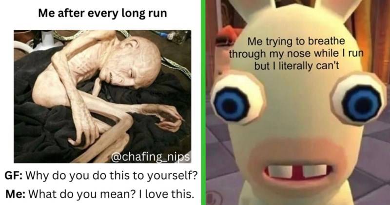 meme.jpeg